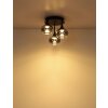 Globo Lui LED Deckenleuchte mit rauchfarbenem Glas für Wohn- und Esszimmer, modern, rund