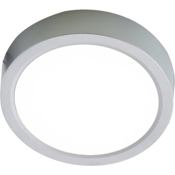 NOWA Puccy LED Deckenleuchte als Deckenlampe Ø 17 cm 3000K 1200 Lumen 10 Watt IP20