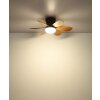 Globo Delores LED Deckenventilator mit Beleuchtung Fernbedienung modern naturfarben