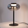 SCHÖNER WOHNEN-Kollektion SIA moderne LED Tischleuchte rauchfarbener Glasschirm