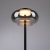 SCHÖNER WOHNEN-Kollektion SIA moderne LED Tischleuchte rauchfarbener Glasschirm