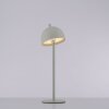 SCHÖNER WOHNEN-Kollektion BELLIS LED grün-weiße höhenverstellbare Stehleuchte IP54
