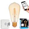 LED Leuchtmittel E27 mit Filamentstäben, 2200 Kelvin warmweiß, 500 Lumen, dimmbar