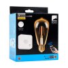 LED Leuchtmittel E27 mit Filamentstäben, 2200 Kelvin warmweiß, 500 Lumen, dimmbar