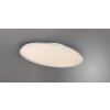 Trio Leuchten Flache ovale LED-Deckenleuchte im modernen Stil, 6500 Kelvin tageslichtweiß