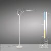 Paul Neuhaus LED Stehlampe ELLY, Lichtfarbe einstellbar 3000 Kelvin warmweiß, verstellbar