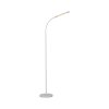Paul Neuhaus LED Stehlampe ELLY, Lichtfarbe einstellbar 3000 Kelvin warmweiß, verstellbar