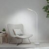 Paul Neuhaus LED Stehlampe ELLY, Lichtfarbe einstellbar 3000 Kelvin warmweiß, verstellbar