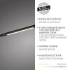 Paul Neuhaus Bogen-Stehlampe ELLY, verstellbar, Lichtfarbe einstellbar 2700-5000 Kelvin