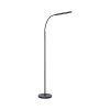 Paul Neuhaus Bogen-Stehlampe ELLY, verstellbar, Lichtfarbe einstellbar 2700-5000 Kelvin
