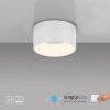 Leuchten Direkt LED Zylinder-Deckenleuchte TANIKA mit Memoryfunktion, 3000 Kelvin warmweiß