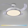 Leuchten Direkt LED Deckenventilator KOPTA, Lichtfarbe einstellbar 3000-6000 Kelvin