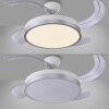 Leuchten Direkt LED Deckenventilator KOPTA, Lichtfarbe einstellbar 3000-6000 Kelvin
