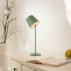 Leuchten Direkt LED Tischleuchte BOTERIA, Memoryfunktion, 3000 Kelvin warmweiß, grün