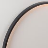 Leuchten Direkt LED Erdspießleuchte ZIRKULU, schwarzer Ring, 3000 Kelvin warmweiß, IP65