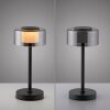 Paul Neuhaus LED Tischleuchte RIKA mit Memoryfunktion und zylindrischem Rauchglasschirm