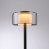 Paul Neuhaus LED Tischleuchte RIKA mit Memoryfunktion und zylindrischem Rauchglasschirm