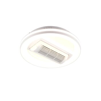 Reality LED Deckenventilator Kurula, Lichtfarbe einstellbar 2700-6500 Kelvin