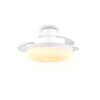 Reality LED Deckenventilator Kiruna, Lichtfarbe einstellbar 2700-6500 Kelvin