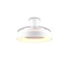 Reality LED-Deckenventilator Vansbro, dimmbar, Lichtfarbe einstellbar 2700-6500 Kelvin