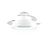Reality LED-Deckenventilator Vansbro, dimmbar, Lichtfarbe einstellbar 2700-6500 Kelvin