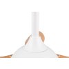Reality LED Deckenventilator mit Beleuchtung Flen, Lichtfarbe einstellbar 2700-6500 Kelvin