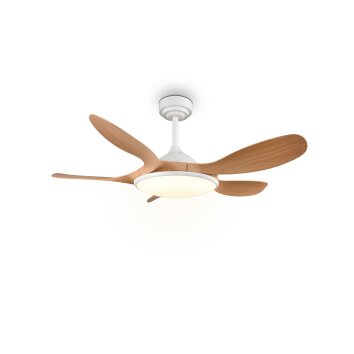 Reality LED Deckenventilator mit Beleuchtung Flen, Lichtfarbe einstellbar 2700-6500 Kelvin