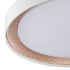 Brilliant flache LED-Deckenleuchte Waldo, Lichtfarbe einstellbar 3000-6500 Kelvin