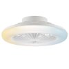 Brilliant LED Deckenleuchte Montero, Ventilator, Lichtfarbe einstellbar 2700-6500 Kelvin