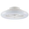Brilliant LED Deckenleuchte Montero, Ventilator, Lichtfarbe einstellbar 2700-6500 Kelvin