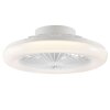 Brilliant LED Deckenleuchte Montero, Ventilator, Lichtfarbe einstellbar 2700-6500 Kelvin