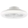 Brilliant LED Deckenleuchte Montero, Ventilator, Lichtfarbe einstellbar 2700-6500 Kelvin