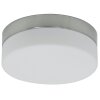 Steinhauer Ceiling and wall Deckenleuchte LED Edelstahl, 1-flammig