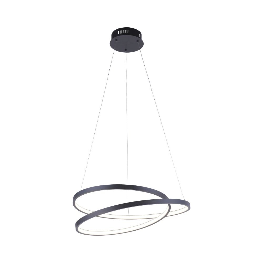 Paul Neuhaus Leuchten ROMAN Pendelleuchte LED Schwarz, 1-flammig main product photo