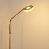 Gulkana Stehleuchte LED Gold, 1-flammig