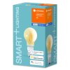 LEDVANCE SMART+ LED E27 6 Watt 2400 Kelvin 725 Lumen