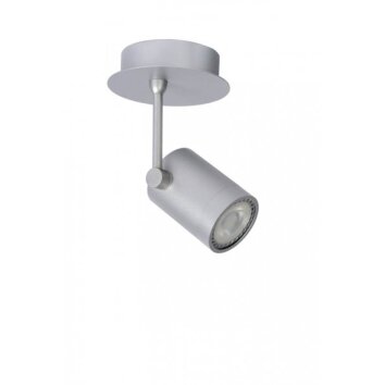 Lucide BIRX Spot Grau, 1-flammig Lucide BIRX Spot Grau, 1-flammig