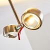 Florenz Deckenleuchte LED Nickel-Matt, 2-flammig