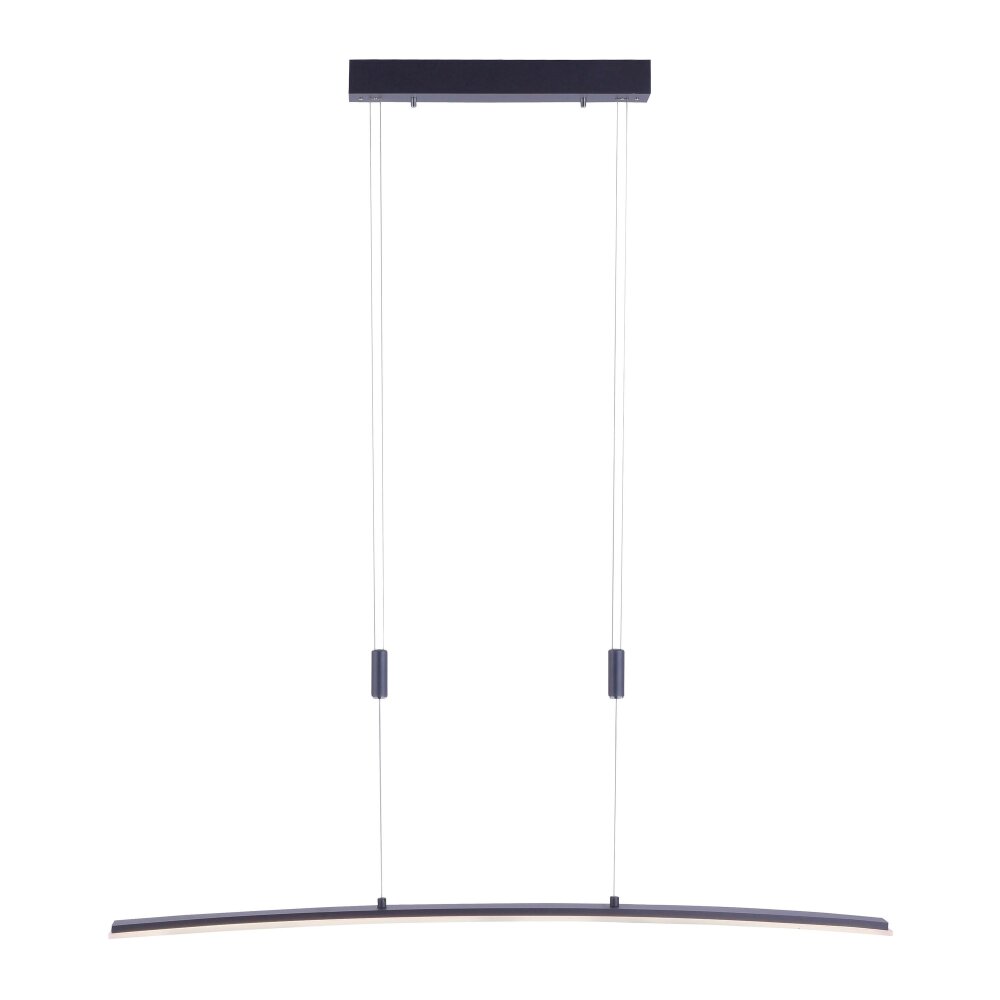 Paul Neuhaus JANINA Pendelleuchte LED Anthrazit, 1-flammig main product photo