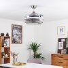 Bendigo Deckenventilator LED Nickel-Matt, Transparent, Klar, 1-flammig