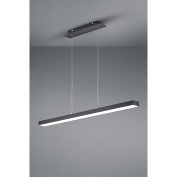 Reality AGANO Pendelleuchte LED Schwarz, 1-flammig Reality AGANO Pendelleuchte LED Schwarz, 1-flammig