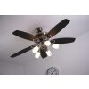 Globo JERRY Ventilator Chrom, Edelstahl, Nickel-Matt, 5-flammig