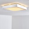 Sora Deckenleuchte LED Nickel-Matt, 1-flammig