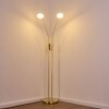 Gulkana Stehleuchte LED Gold, 2-flammig