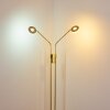 Gulkana Stehleuchte LED Gold, 2-flammig