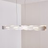 Nagold Pendelleuchte LED Nickel-Matt, 1-flammig