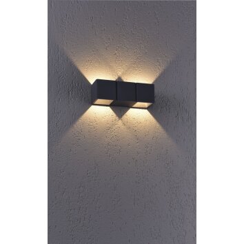 Paul Neuhaus MARCEL Außenwandleuchte LED Anthrazit, 2-flammig