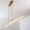 Skeldon Hängeleuchte LED Aluminium, Nickel-Matt, 1-flammig