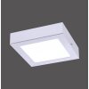Leuchten Direkt OSKAR Deckenleuchte LED Silber, 1-flammig
