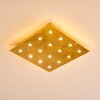 Pionnat Deckenleuchte LED Gold, 16-flammig